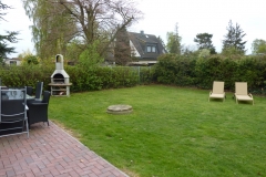 Garten-Lachmöwe-2