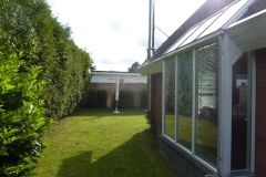 Garten-Seeigel-2