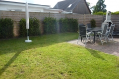 Garten-Seeigel