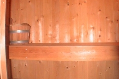 Sauna-Seeigel