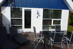 Terrasse-Seeigel